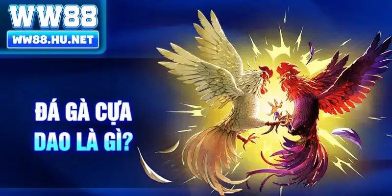 Đá gà cựa dao là gì?